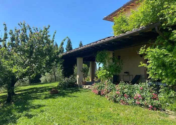 Agrifoglio
