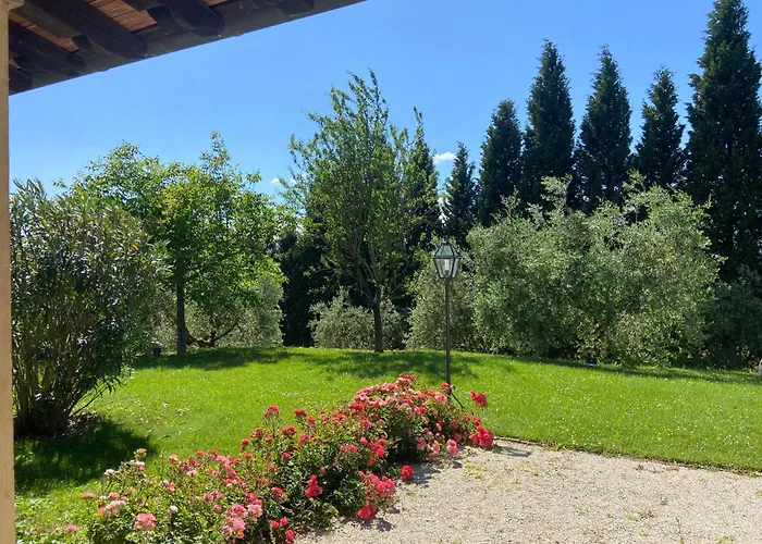 Agrifoglio
