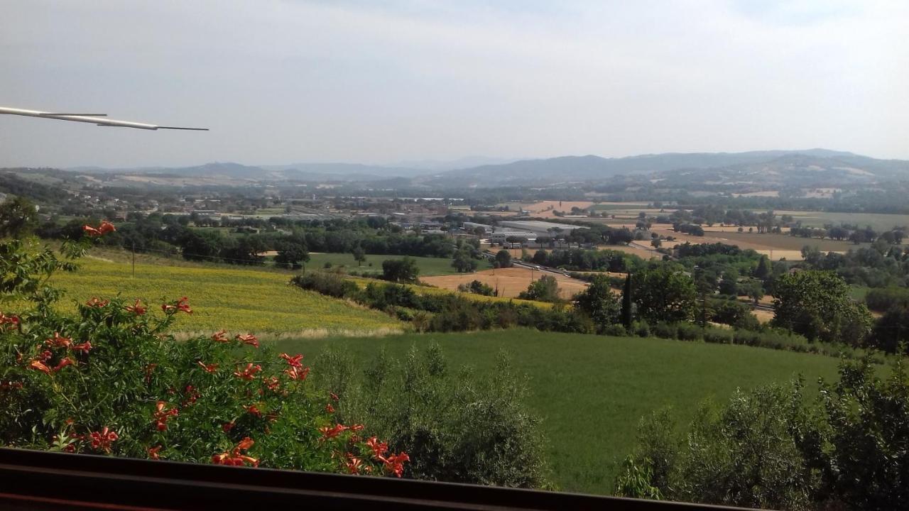 Appartamento Agrifoglio Pantalla